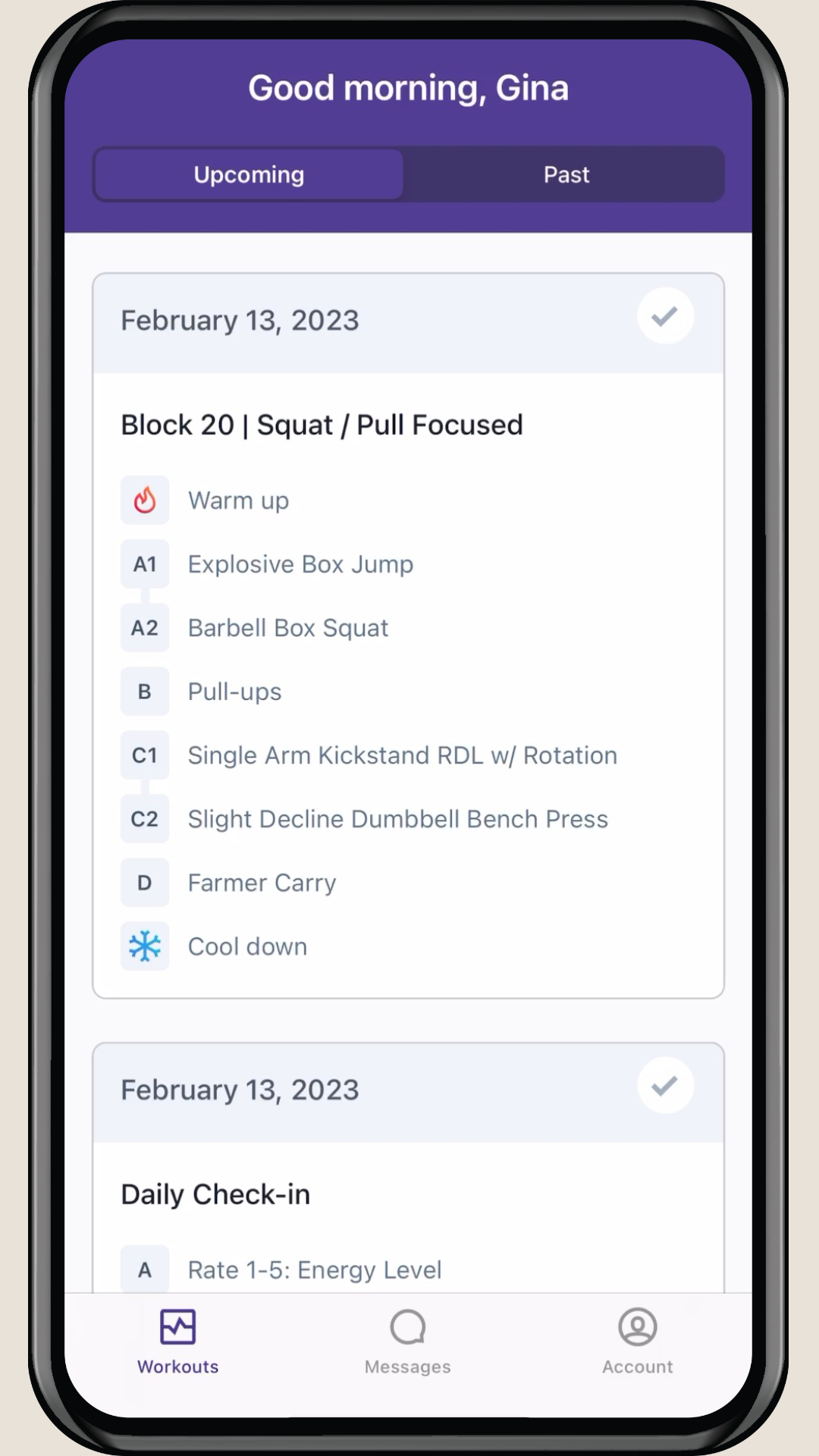 TrueCoach app showing a daily workout program